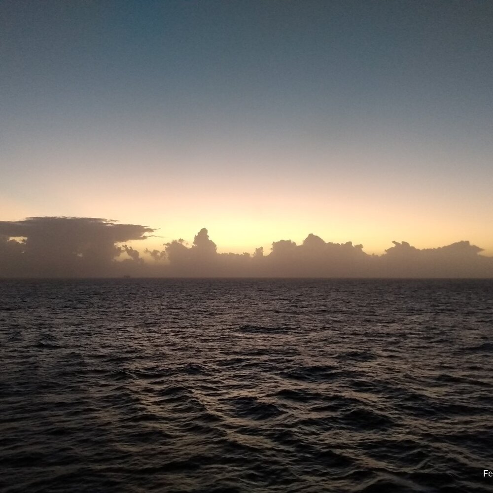 Meet your Posher, Traci